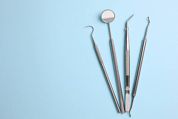 Top rated local Dental specialists in North Fort Lewis, WA